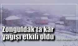 Zonguldak'ta yüksek kesimlerde kar yağışı etkili oldu