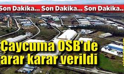 Çaycuma OSB'de arar karar verildi