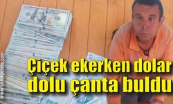 Çiçek ekerken servet buldu, polise teslim etti