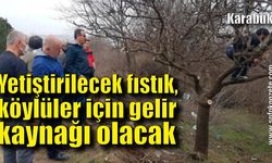 Karabük’te yetiştirilecek fıstık, köylüler için gelir kaynağı olacak