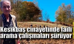 Kesikbaş cinayetinde faili arama çalışmaları sürüyor