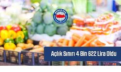 Memur Sen açlık ve yoksulluk sınırını belirledi