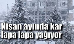 Nisan ayında Eflani ilçesi beyaz örtüyle kaplandı