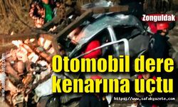 Zonguldak’ta dere kenarına uçan otomobil hurdaya döndü: 1 yaralı