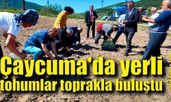 Çaycuma 'da yerli tohumlar toprakla buluştu