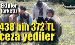 Nesli tehlikede olan salep soğanı toplayıcılarına büyük ceza