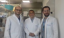 Öğretim üyelerinin yurt dışı araştırma başarısı