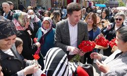 Uçar ve Altun Anneler günü nedeniyle karanfil dağıttı