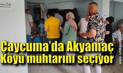 Çaycuma'da Akyamaç Köyü yeni muhtarını seçiyor