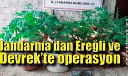 Jandarma Ereğli ve Devrek’te operasyon düzenledi