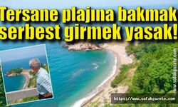 Tersane plajına bakmak serbest girmek yasak!