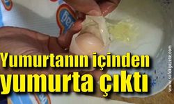 Yumurtanın içinden yumurta çıktı