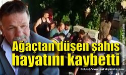 Ağaçtan düşen şahıs hayatını kaybetti