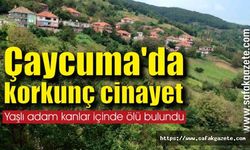 Çaycuma'da korkunç cinayet