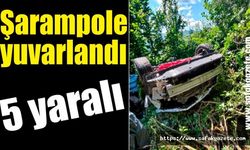 Hafif ticari araç şarampole yuvarlandı: 5 yaralı