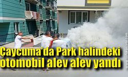 Park halindeki otomobil alev alev yandı