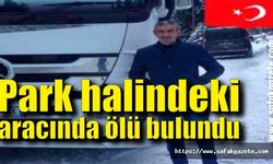 Park halindeki aracında ölü bulundu