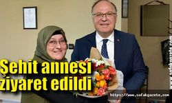 Şehit annesi ziyaret edildi