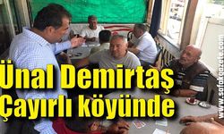 Ünal Demirtaş, Çayırlı köyünde