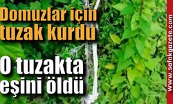 Domuzlar için tuzak kurdu, o tuzakta eşini kaybetti