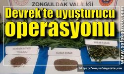 Jandarmadan uyuşturucu operasyonu