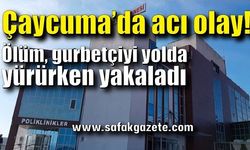 Ölüm, gurbetçiyi yolda yürürken yakaladı