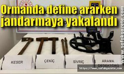 Ormanda define ararken jandarmaya yakalandı