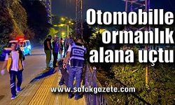 Otomobille ormanlık alana uçtu, 8 metre yüksekliği tırmanarak hastaneye gitti