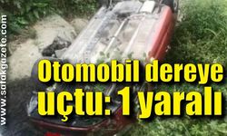 Kontrolden çıkan otomobil dereye uçtu: 1 yaralı