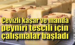 Çaycuma'da cevizli kaşar ve manda peyniri tescili için çalışmalar başladı