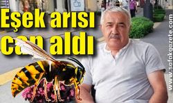 Eşek arısı can aldı