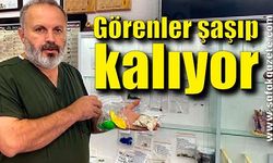 Görenler şaşıp kalıyor, veterinerin koleksiyonu büyük ilgi görüyor