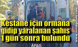 Kestane için ormana gidip yaralanan şahıs 1 gün sonra bulundu