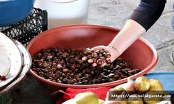 Kestane pazara indi, kilosu 45 TL
