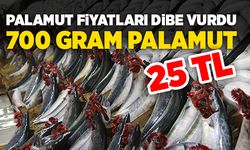 Palamut fiyatları dibe vurdu