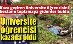 Trafik kazası geçiren üniversite öğrencisini kestane toplamaya gidenler buldu