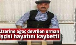 Üzerine ağaç devrilen orman işçisi hayatını kaybetti