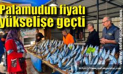 Zonguldak'ta palamudun fiyatı yükselişe geçti