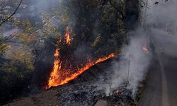 Çınartepe Hopa ailesi mezarlığında yangın