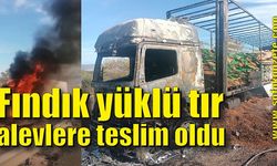 Fındık yüklü tır alevlere teslim oldu