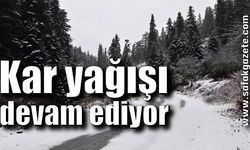 Kar yağışı devam ediyor