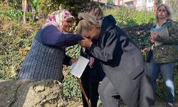 Örgütlerimiz kararlı, azimli bir biçimde sahada