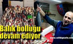 Tezgahlarda balık bolluğu devam ediyor