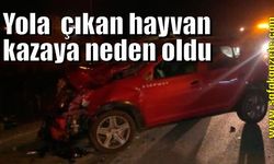 Yola aniden çıkan hayvan kazaya neden oldu: 2 yaralı