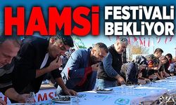 15. Hamsi Festivali, hamsiyi bekliyor