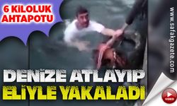 6 kiloluk ahtapotu denize atlayıp eliyle yakaladı