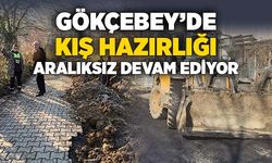 Gökçebey'de kış hazırlığı aralıksız sürüyor