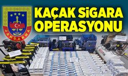 Jandarmadan kaçak sigara operasyonu