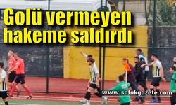Tribünden sahaya inip golü vermeyen hakeme saldırdı