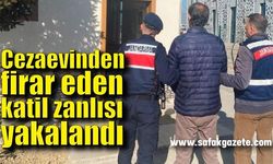 Açık cezaevinden firar eden katil zanlısını jandarma yakaladı